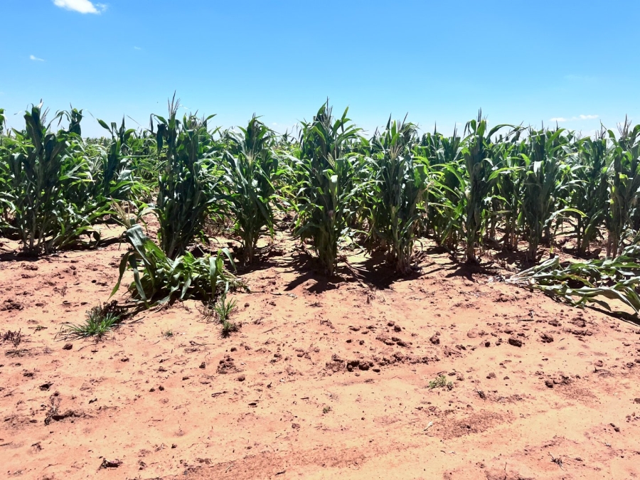 Commercial Property for Sale in Bloemfontein Rural Free State